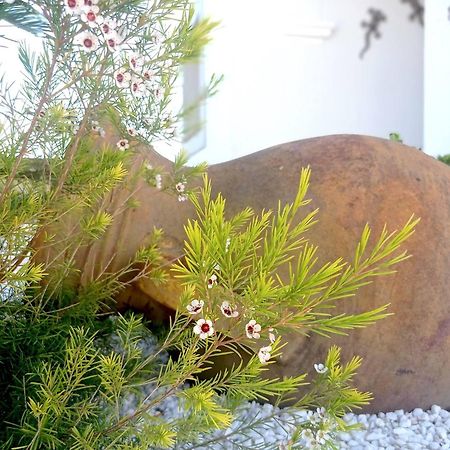 Villa Juncos Can Furnet エクステリア 写真