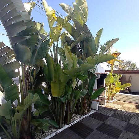 Villa Juncos Can Furnet エクステリア 写真