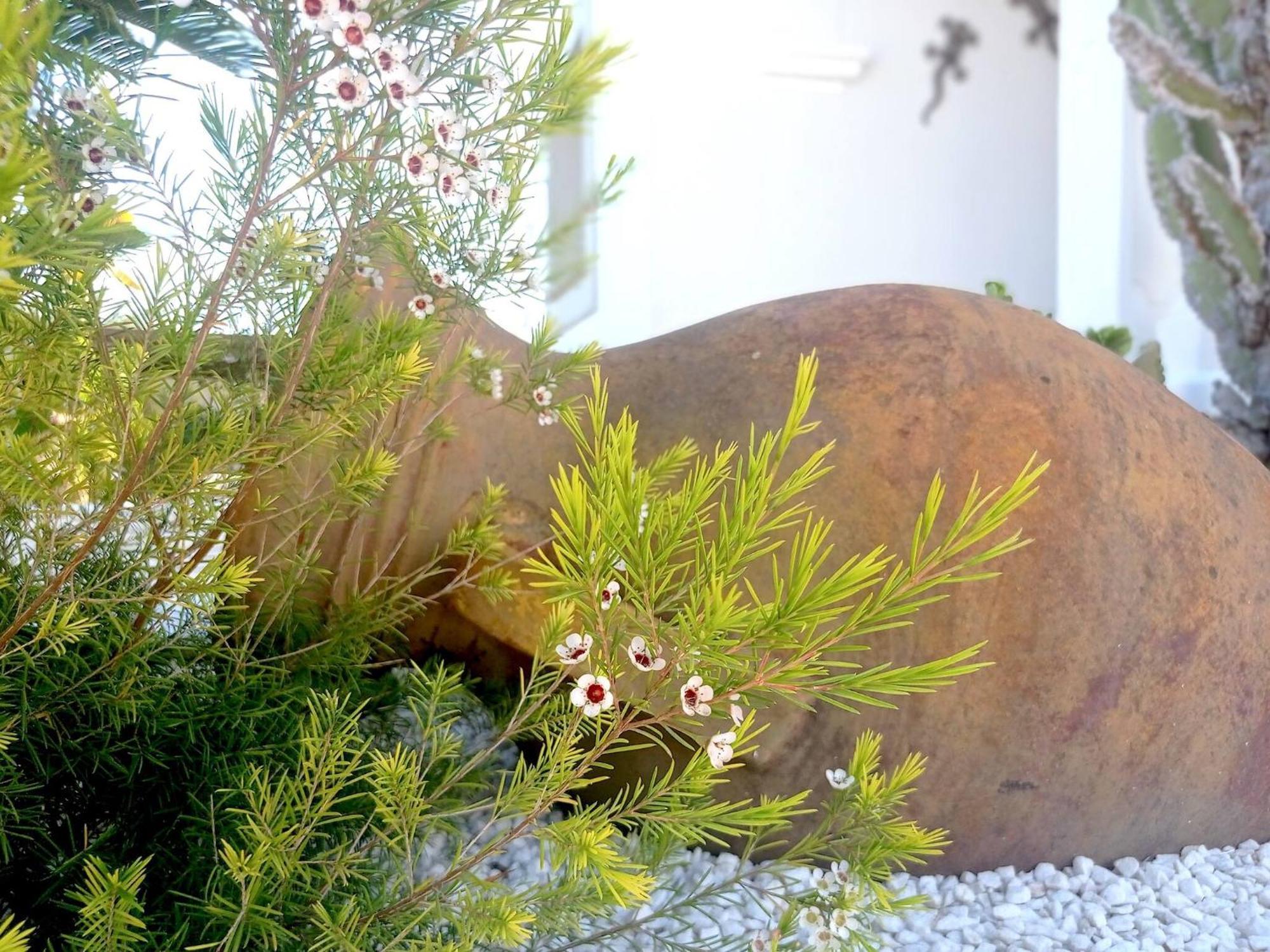 Villa Juncos Can Furnet エクステリア 写真